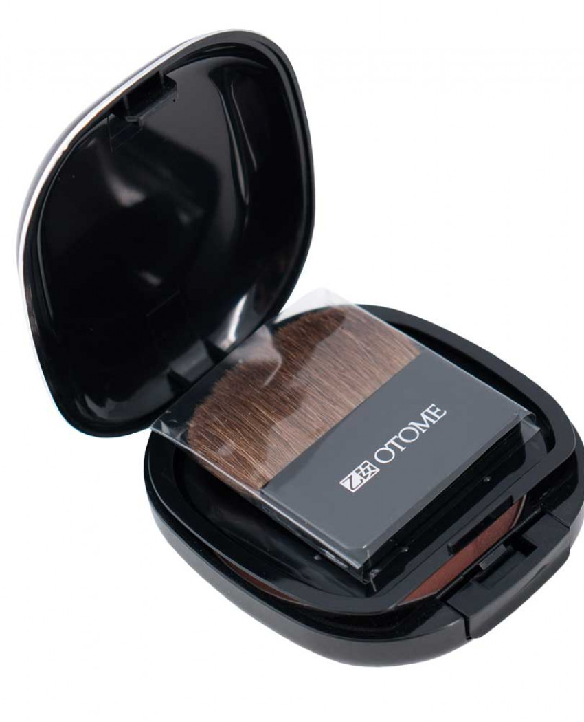 ОТОМЕ Duo Color Power Blush Румяна, 13 г