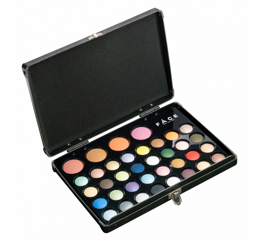 Wamiles Eyeshadow set the Colors 36 Профессиональный набор теней и румян, 1,7 г / 5 г