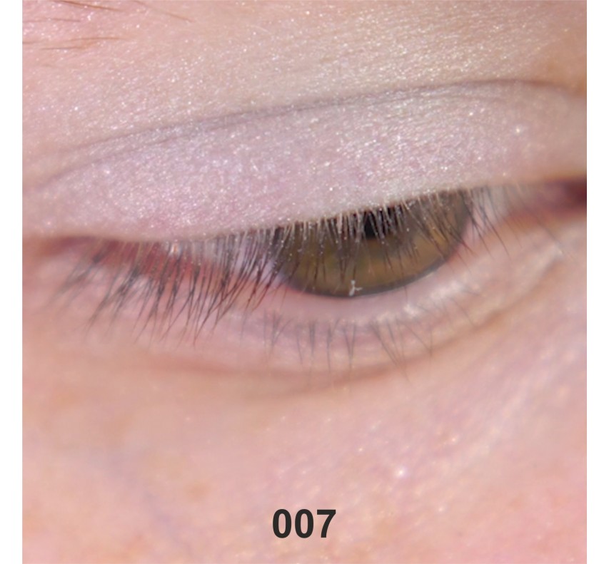 Wamiles Face The Colors Тени для глаз, 1,7г