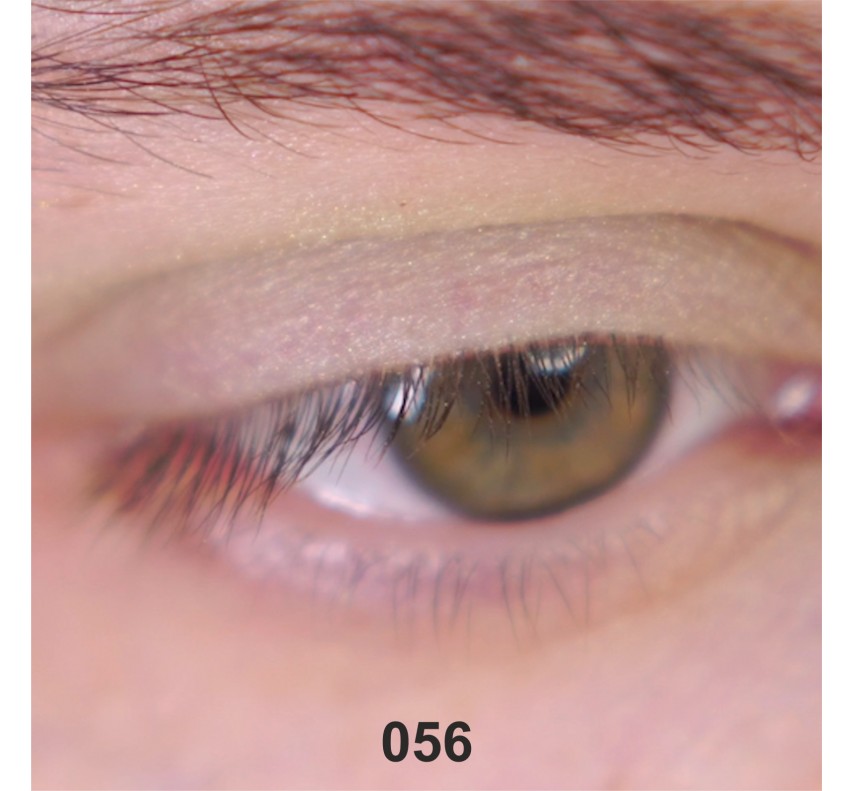 Wamiles Face The Colors Тени для глаз, 1,7г